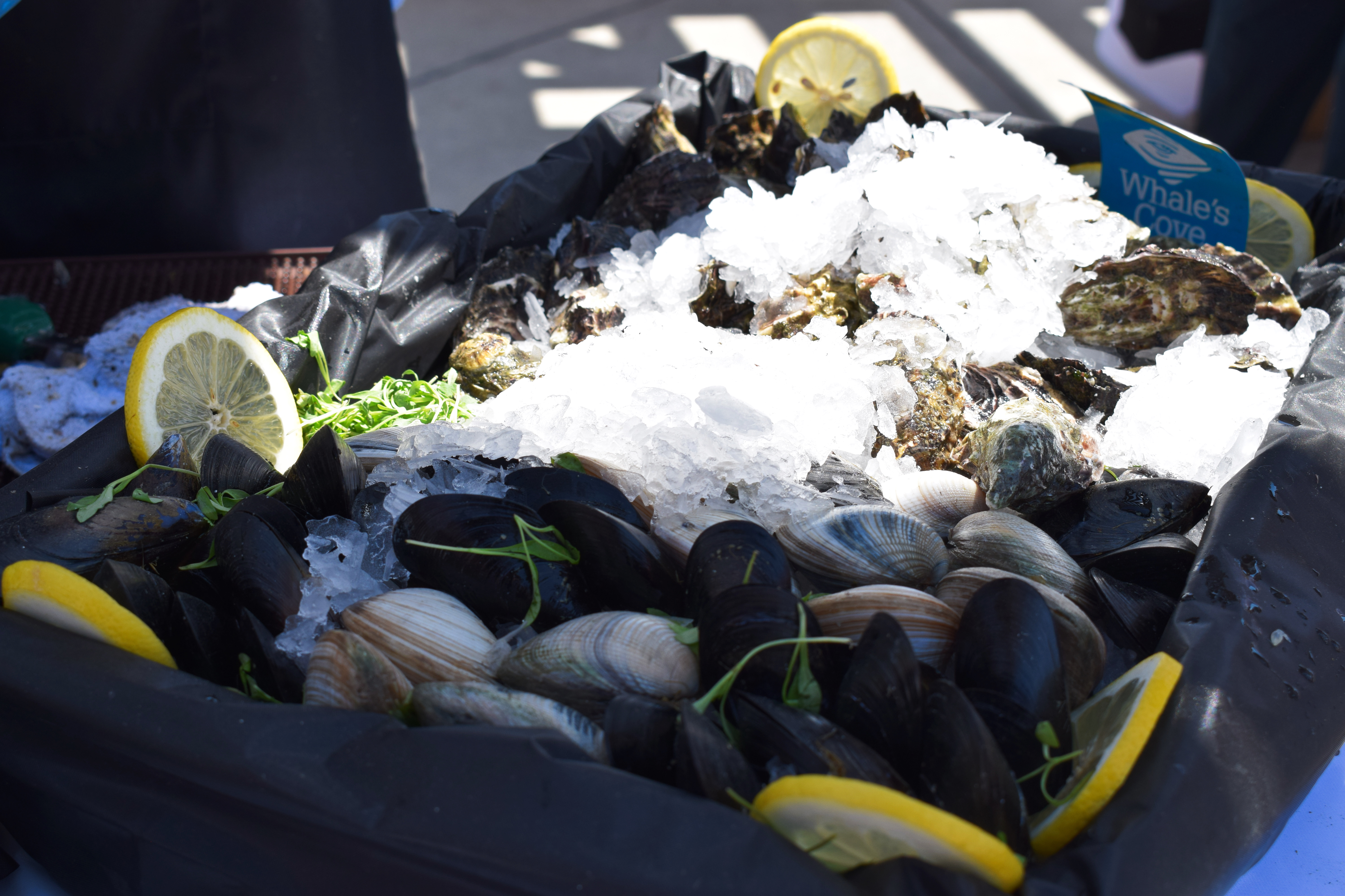 pacific-wine-food-classic-festival-newport-beach-dunes-event-vip-orange-county-ocfoodfiend-oc-fiend-blogger-review-what-where-is-instagram-social-media-influencer-preview