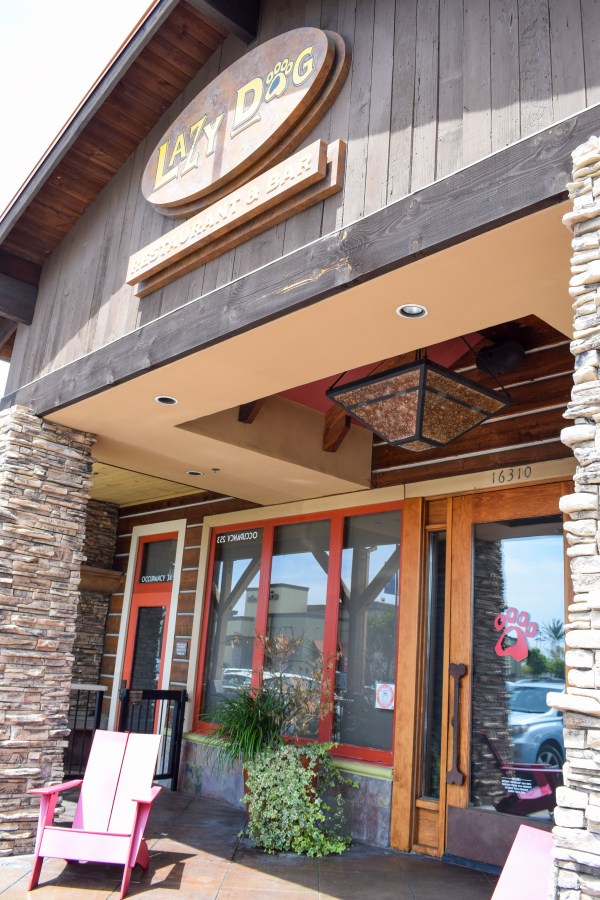 lazy-dog-restaurant-spring-menu-items-new-cocktails-drinks-oc-food-fiend-ocfoodfiend-blogger-foodie-orange-county-huntington-beach-brea-pictures