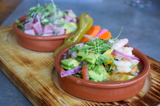 cha-cha-latin-kitchen-irvine-brea-national-tequila-day-ocfoodfiend-orange-county-oc-foodie-blogger-restaurant-specials-ceviche